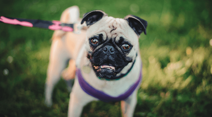 Allergies & Dermatology