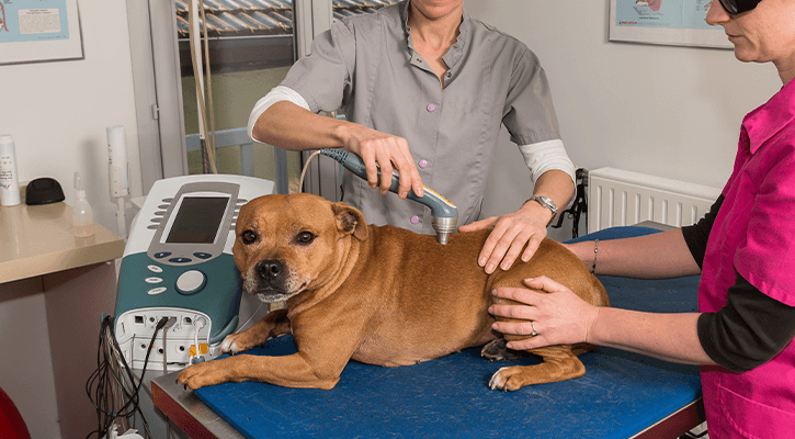 Laser Therapy
