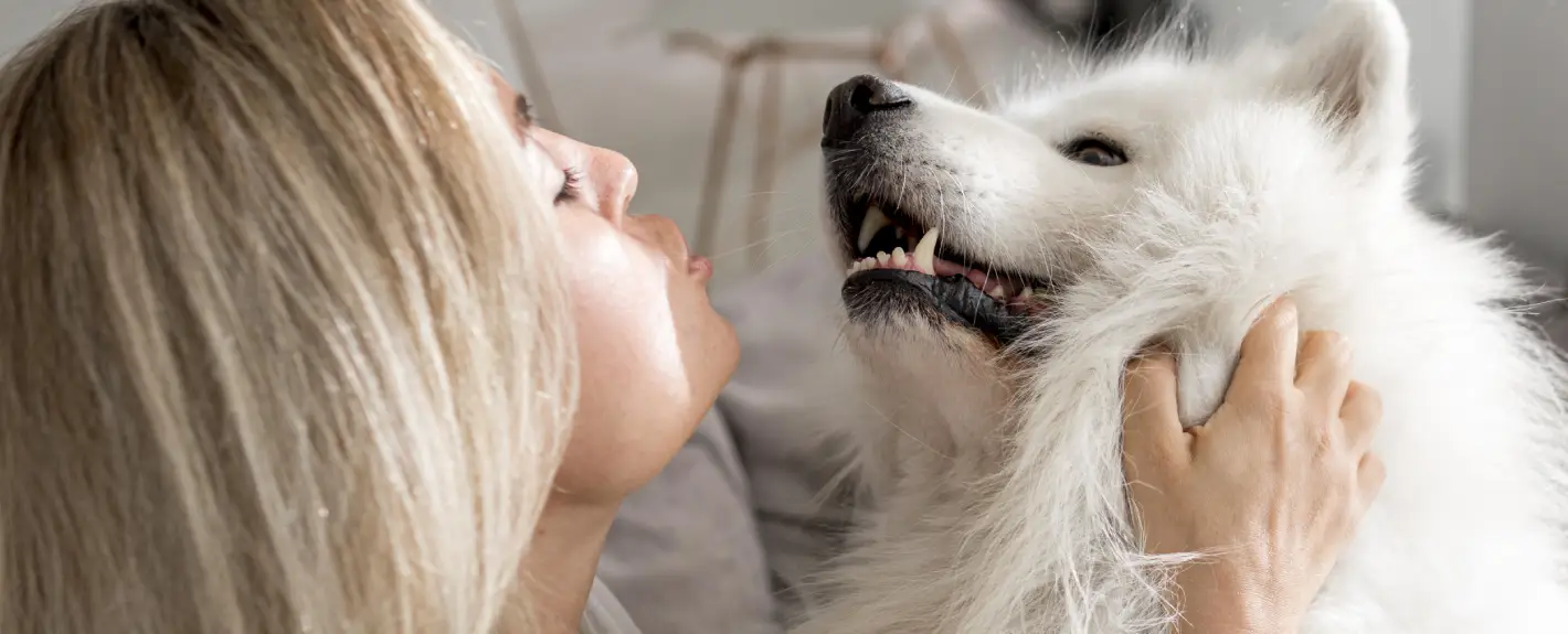 Doggy Dental Care Tips