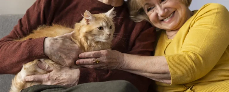 Benefits of Adopting A Senior Pet